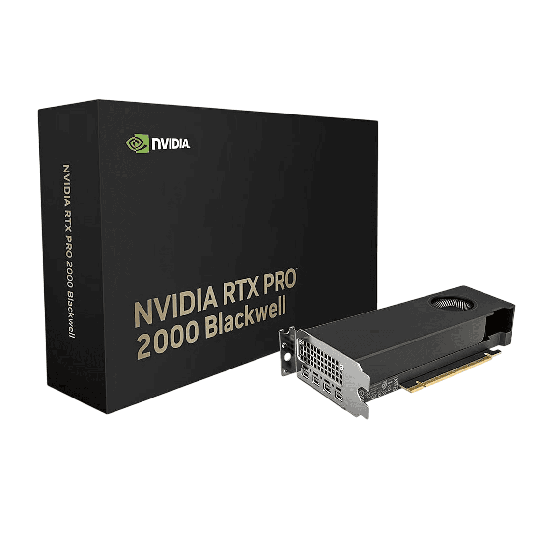 VGA PNY QUADRO RTX PRO 2000 Blackwell 16Gb GDDR7 4x Mini Display Port